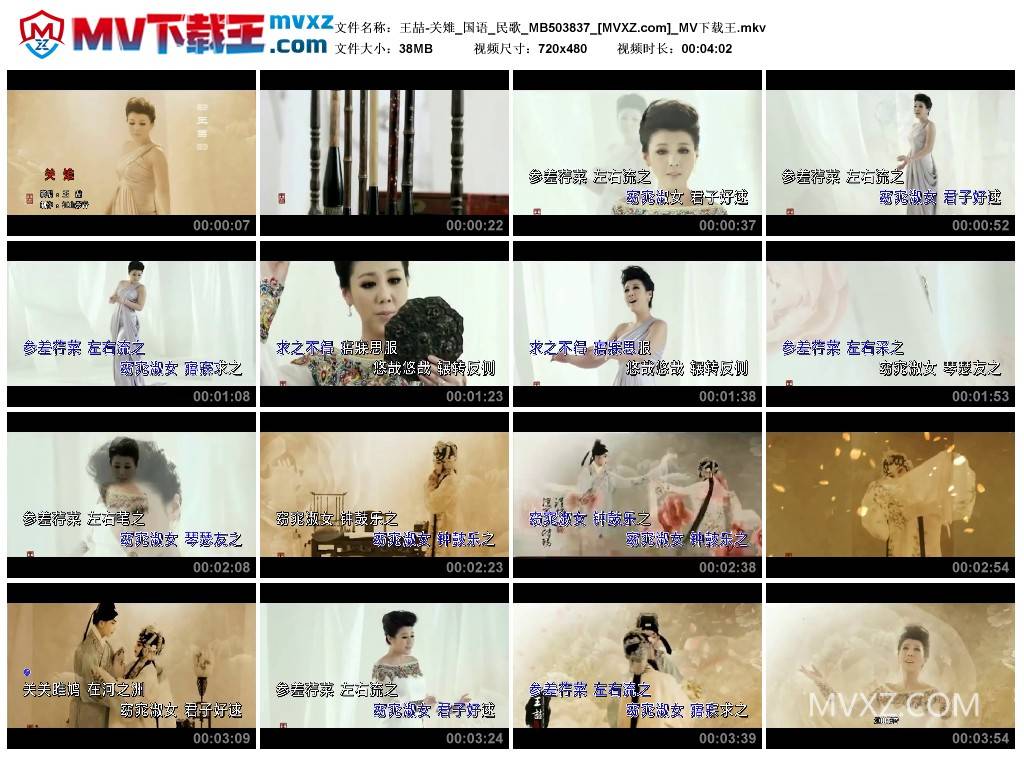 王喆-关雉_国语_民歌_MB503837